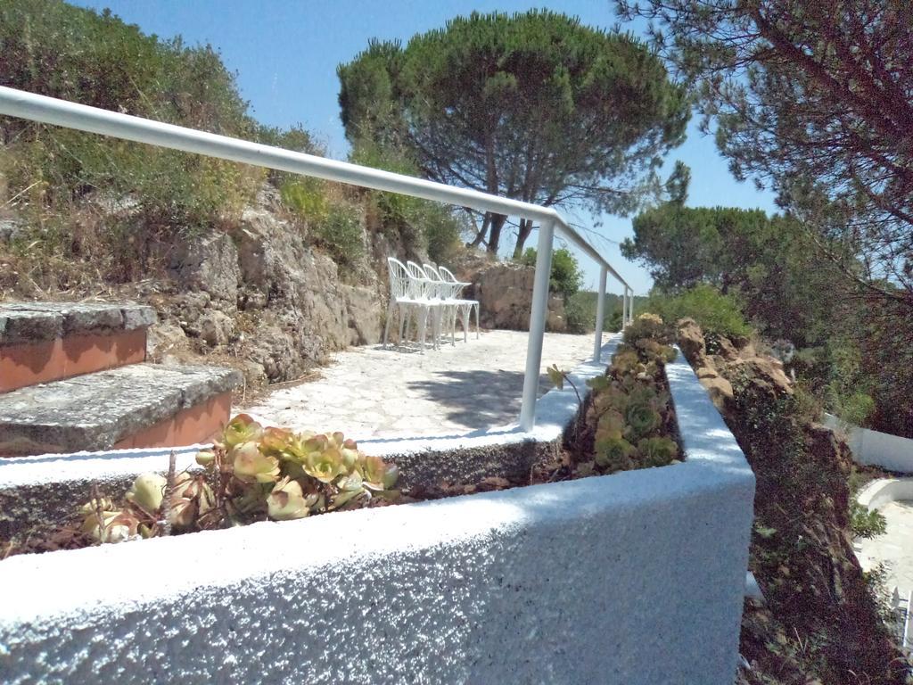 Villa Branca Do Castelo Sesimbra Bagian luar foto